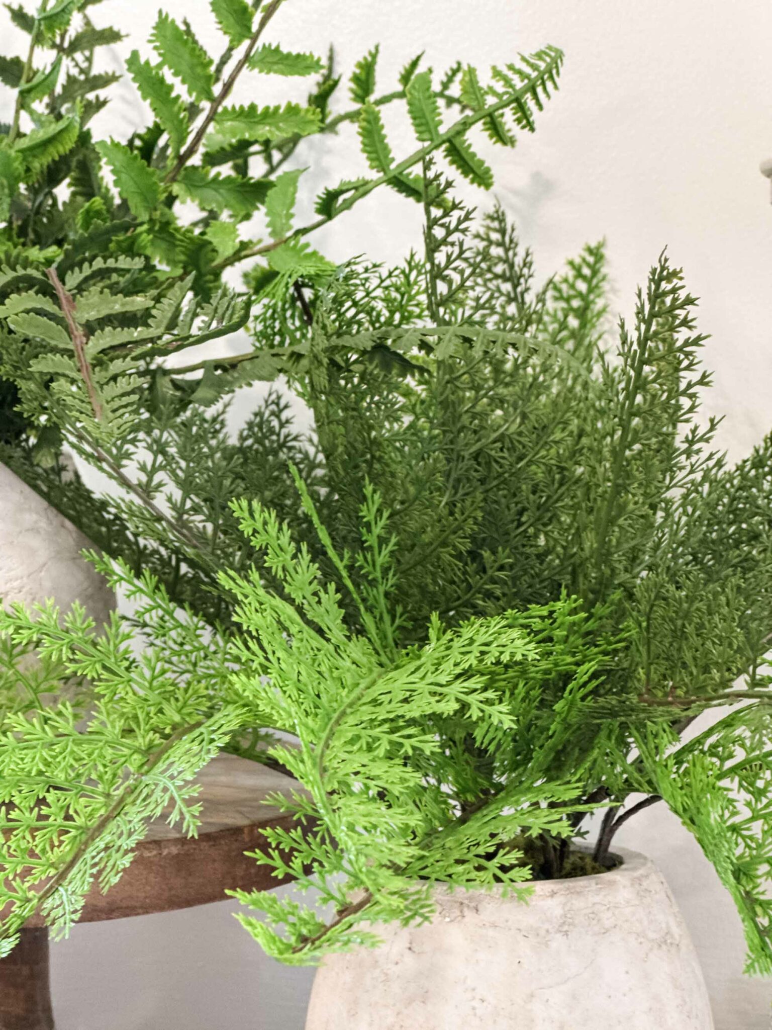 Woodland Frond Ferns, Set/ 3 Assorted - Image 4