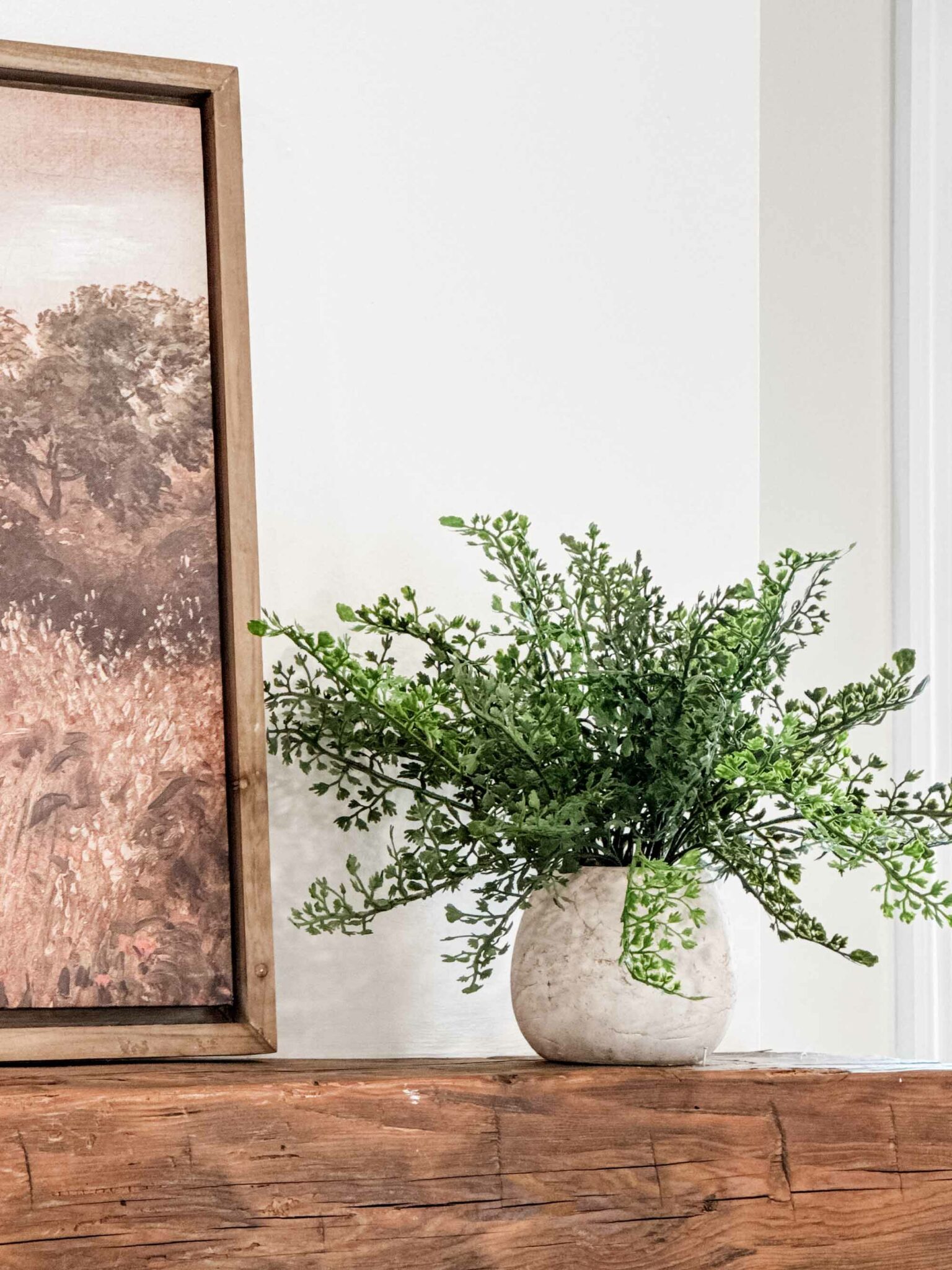 Woodland Frond Ferns, Set/ 3 Assorted - Image 3