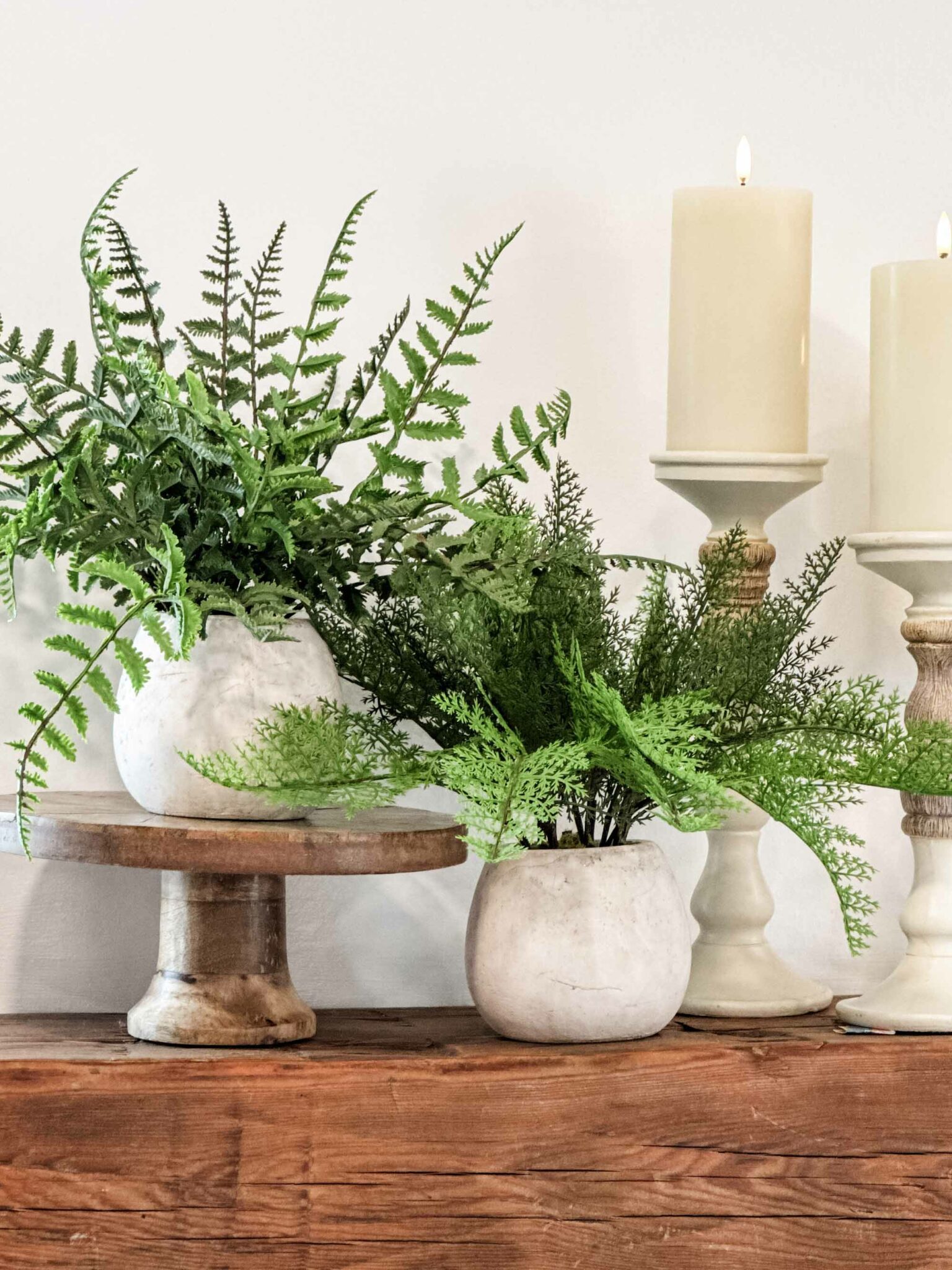 Woodland Frond Ferns, Set/ 3 Assorted - Image 2