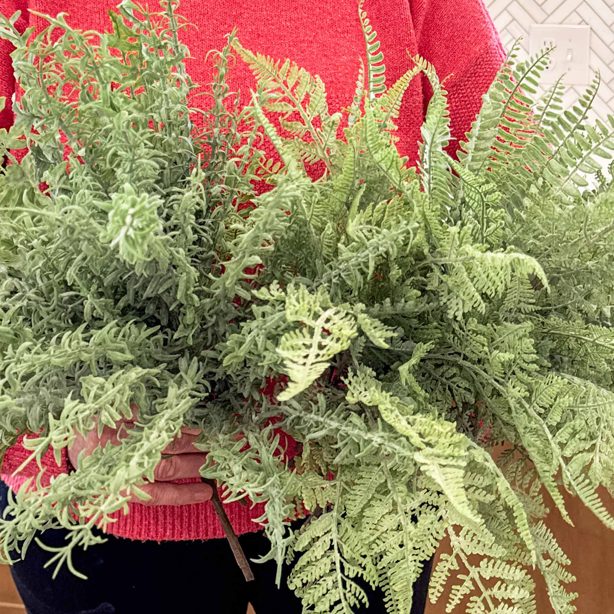 Ferns & Foliage Assortment, Set of 12 Assorted Bushes - Image 8