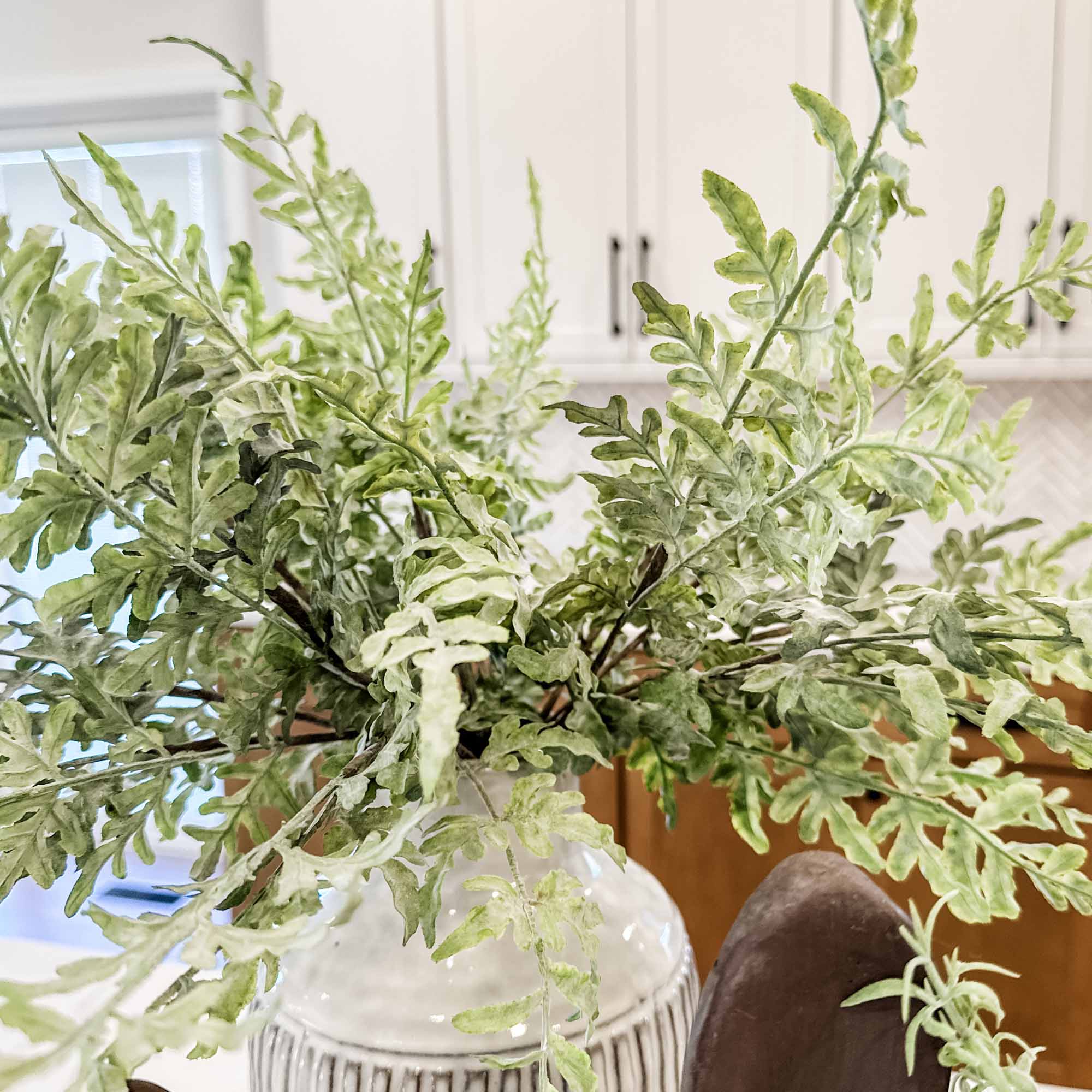 Ferns & Foliage Assortment, Set of 12 Assorted Bushes - Image 4