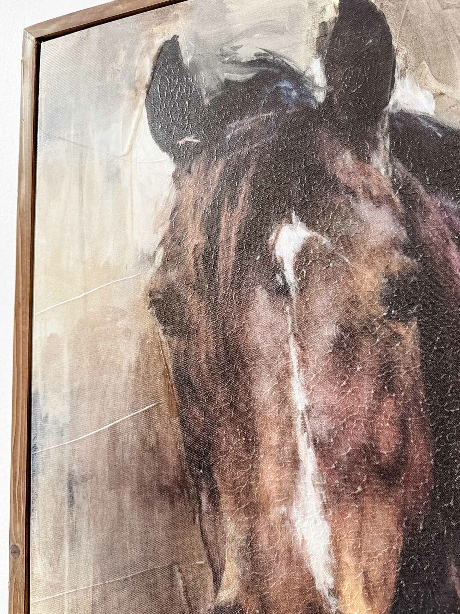 The Noble Gaze, Framed Horse on Canvas - Image 4