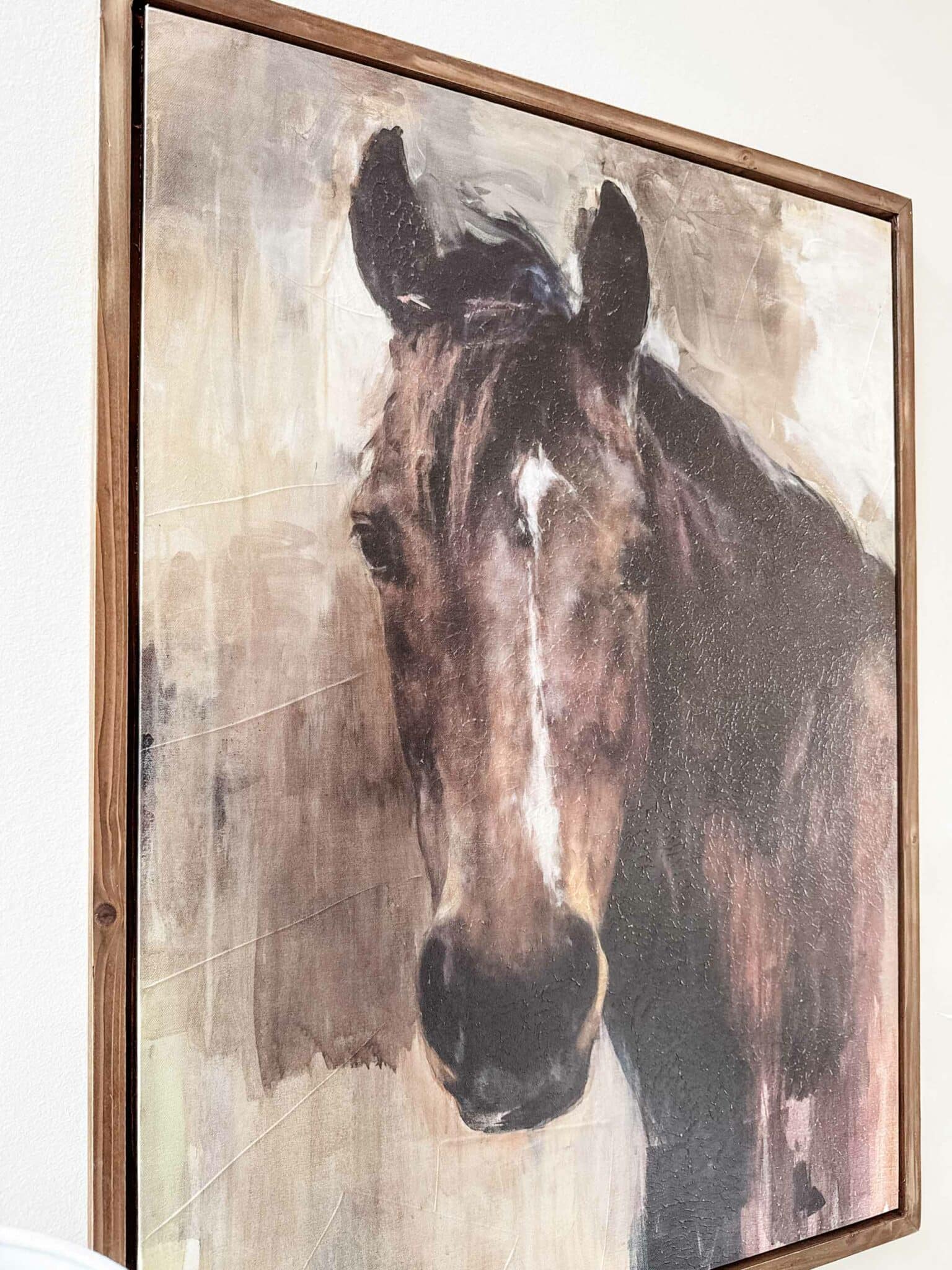 The Noble Gaze, Framed Horse on Canvas - Image 3