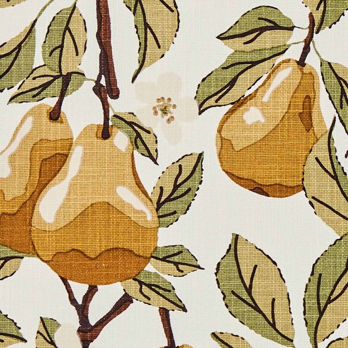 Golden Pear Placemats, Set/4 - Image 3